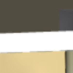 Meet your Posher, Monique